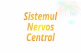 Fiziologie_Sistemul Nervos Central