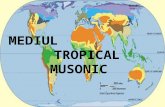 Mediul tropical musonic