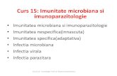 Cursuri imunologie