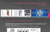 Colagenul-proteina Din Piele
