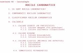 03. CARSTOLOGIE - PREZENTARE 03 - Rocile carstificabile 2.ppt