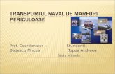 Transportul Naval de Marfuri