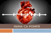 Inima Analizata CA Si o Pompa