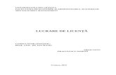 Licenta net.doc