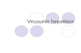 Virusurile hepatitice 2011.ppt