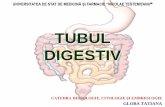Digestiv (Author T.globa) (2)