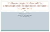 249676990 Cultura Organizațională Și Perfomanțele Economice Ale Unei Organizații