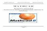 MathCAD-Proiectare interactiva