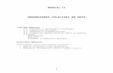 Modul 2 Organizarea Colectiei de Date