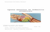 Igiena mainilor in industria alimentara