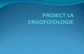 Proiect Ergofiziologie