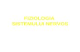 Fizio Sistemul Nervos LP