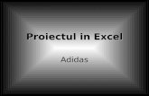 Adidas_Excel (PowerPoint).pps