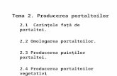 Tema 2, Producerea Portaltoilor