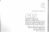 GIS Sisteme Informatice Geografice