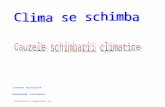 SCHIMBARI CLIMATICE.doc