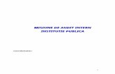 Audit Public Intern in Institutie Publica
