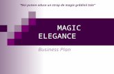 141653238 Magic Elegance Plan de Afacere 2013