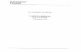 Raport de Gestiune Al Consiliului de Administratie Al Automobile Dacia Sa 31.12.2010