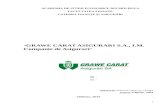 Grawe Carat Asigurari SA - IM Companie de Asigurari