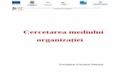 38TTHA Cercetarea Mediului Organizatiei Carmen Nasta