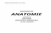 Anatomie CURS (deleted 509f7483-1387800-b7f1504e)