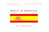 Mediul de Marketing Al Spaniei