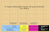 04 - Controlul Glicemic