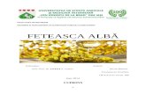 Feteasca Alba.docx