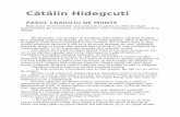 Catalin Hidegcuti-Pasul Craiului de Munte 09