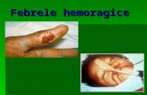 Febrele hemoragice