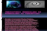 Indicatorii Monoculari Si Binoculari Ai Perceptiei (3)