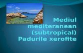 Mediul mediteranean (1)