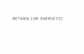 Metabolism Energetic 1