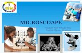 Microscopul Final;