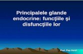 Lectie 13 Principalele Glande Endocrine(1)
