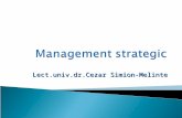 Management C2-Management Strategic