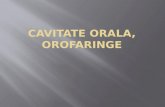 Cavitate orala.pptx