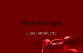Hematologie Curs Intro