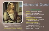 Albrecht Dürer (Epoca Renasterii)
