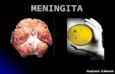 Meningite - Prelegere E.manole Stomatologie (1)