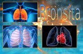 Bronsita Pneumonia Tbc