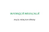 Botanica Medicala