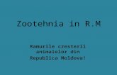 Zootehnia in Republica Moldova