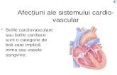 Afecțiuni ale sistemului cardio-vascular