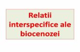 PROIECT Relatii Interspecifice Ale Biocenozei
