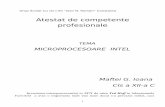 Atestat-de-competente-profesionale microprecesoare INTEL.pdf