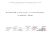 001 Modul de Instruire Suport de Curs DC Revision (1)