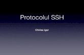 Protocolul Ssh