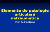 Curs IV - Elemente de Patologie Articulara Netraumatica